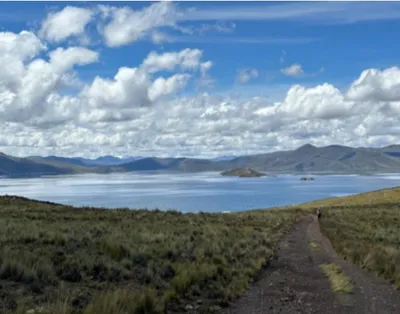 Paisaje andino