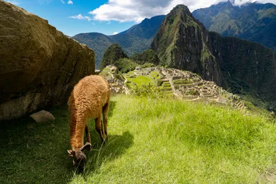 Privado: Cusco y Camino Inca Rapid