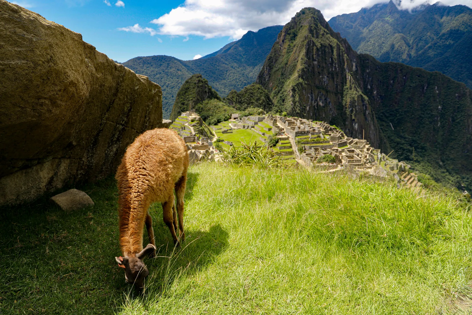 ANIVERSARIO EN PERÚ