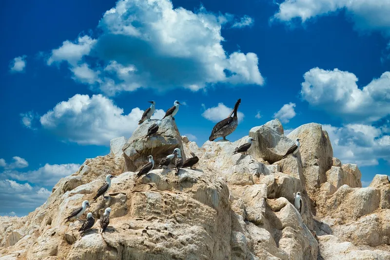 Islas Ballestas