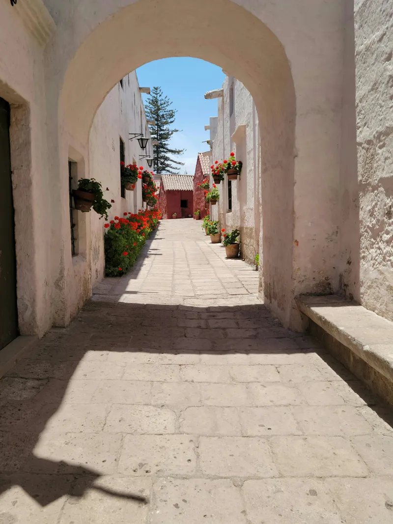 Imagen 4 de Arequipa Fascinante