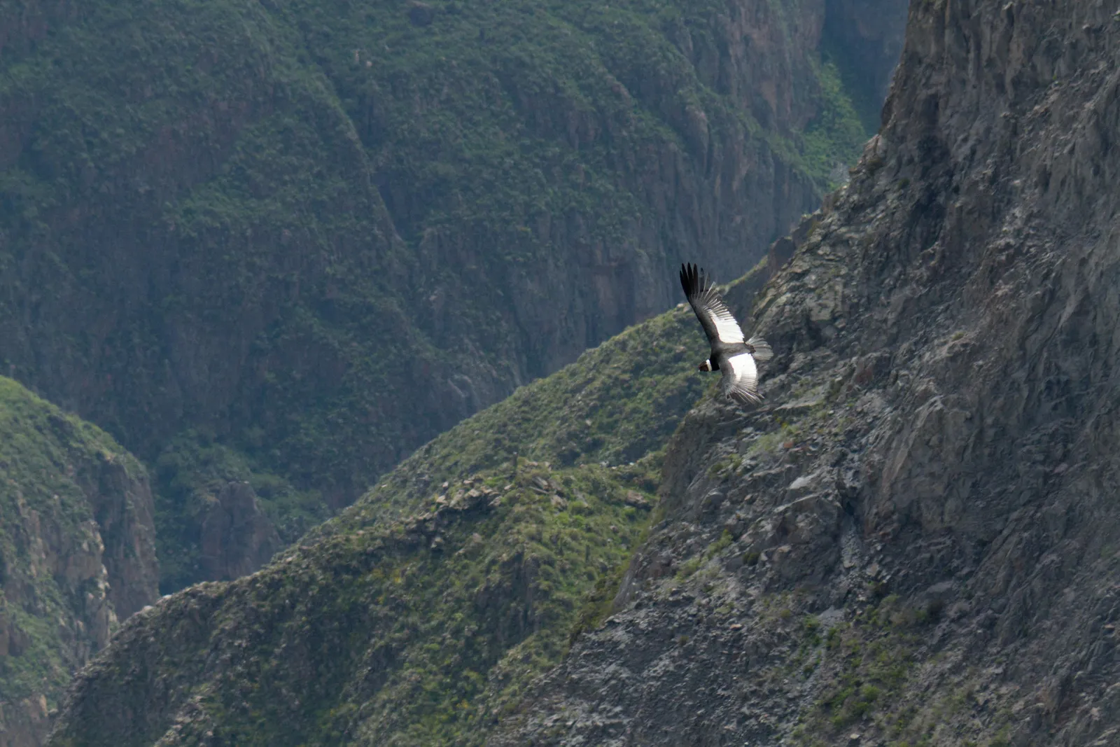 Portada Trekking Cañón del Colca: Sangalle (PRIVADO - 2 días)