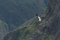 Galería Trekking Cañón del Colca: Sangalle (GRUPAL - 3 días) 2