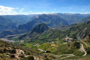 Vegetación andina
