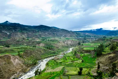 Imagen 5 de Arequipa y Colca Espectacular