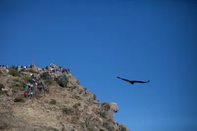 Arequipa y Colca Espectacular